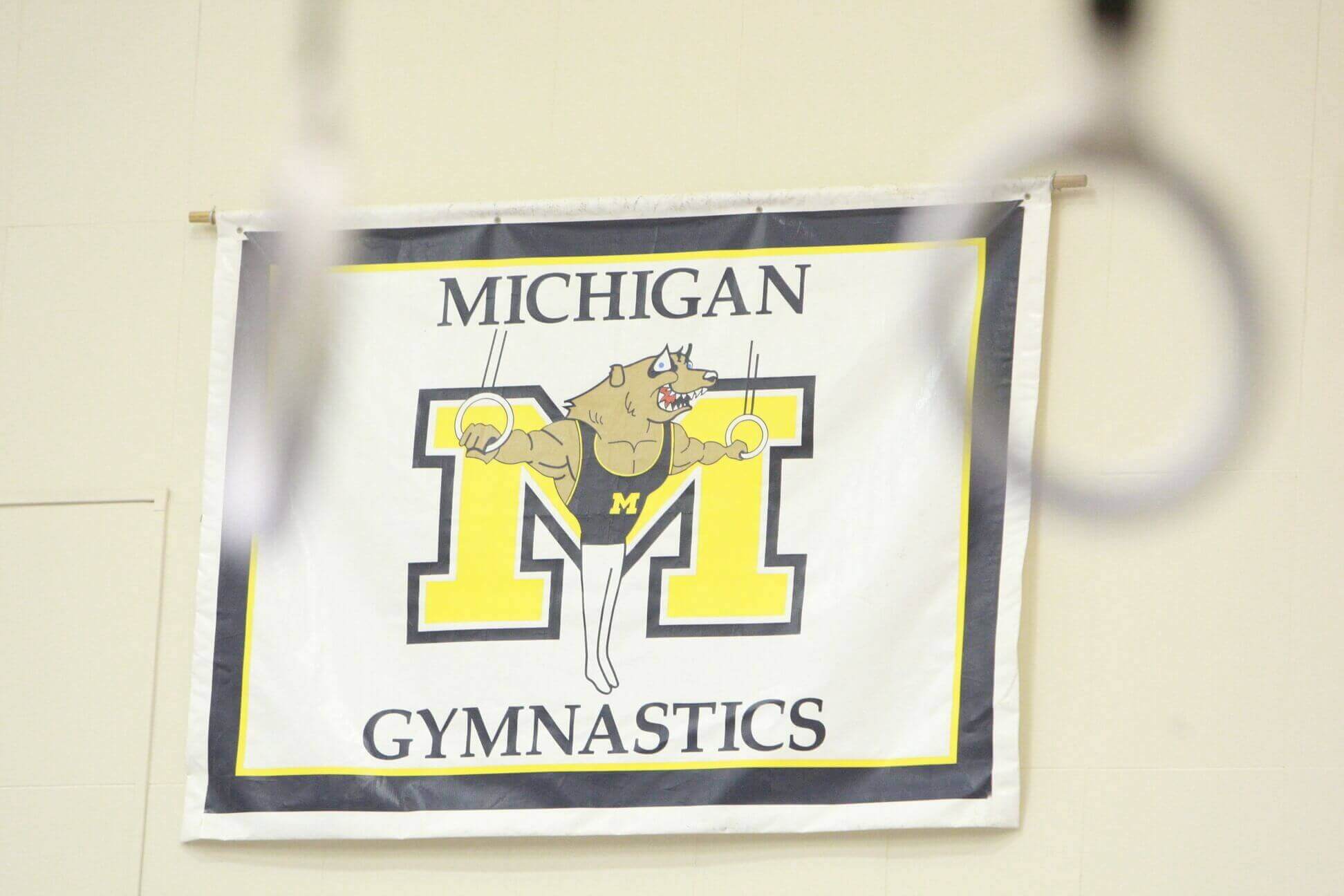 Michigan Gymnastics History